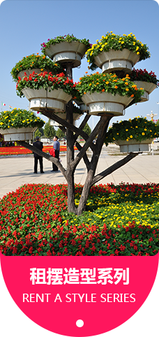 租摆造型系列