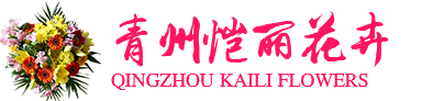 青州市恺丽花卉苗木园艺场